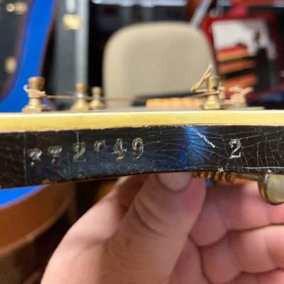 Levin SOLIST MODEL 2 1955 - Honey Burst image 13