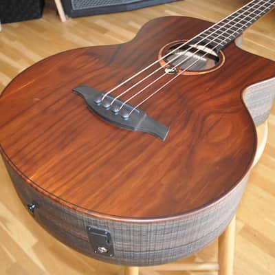 LAG Sauvage BCE / Jumbo Cutaway Electro / Acoustic-Electric 4-String Bass / Green Guitars Series / 2309LT23160 image 4