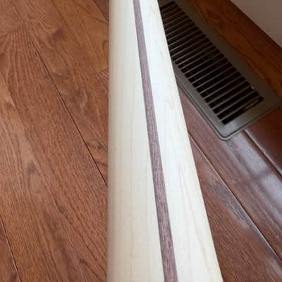 2025 Fender Richie Kotzen Signature Stratocaster MIJ Japan Maple - Transparent White Burst image 15