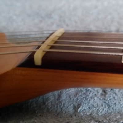 Firefly FFST HSS stainless steel frets & locking tuners image 7