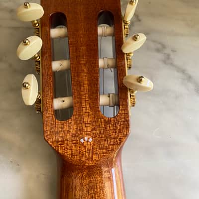Cordoba Luthier Select Series Friederich Classical Nylon String Guitar image 17