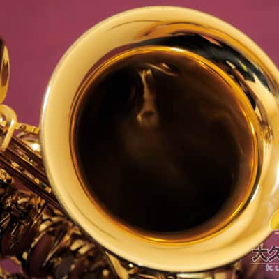 Selmer Paris Serie III Jubilee Engraved Alto Saxophone (2018) image 4