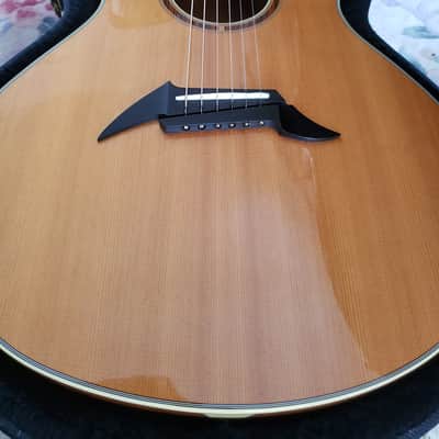 Breedlove C25/MH - Concert | Figured Mahogany & Sitka Spruce | Signed Steve Henderson image 23