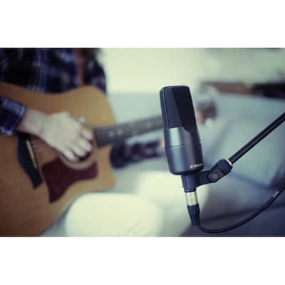 sE Electronics X1A Large-Diaphragm Condenser Microphone with 100Hz Highpass Filter image 6