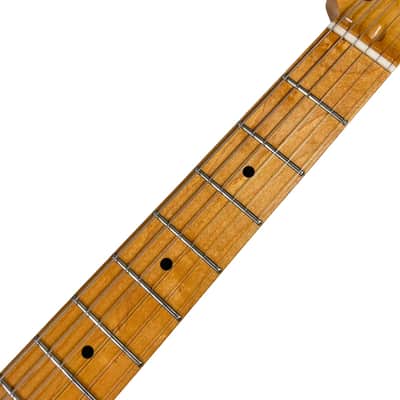 Bill Lawrence SwampKaster T image 10