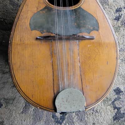 Louis Sutz Bowl Back Mandolin 1900ish image 3