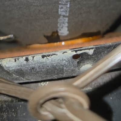 Fender Bassman 2x12" Guitar Speaker Cabinet 1962 - 1964 - Blonde (painted) W/ Peavey/Eminence Speakers (C013-A5) image 17