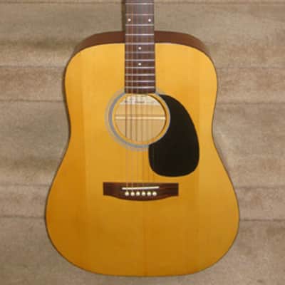 Aria Ariana Electric-Acoustic Dreadnought Guitar w/ Gigbag image 1