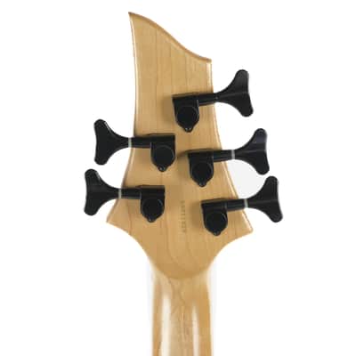 ESP Ltd 5-String Bass Owned by Greg Howe image 8