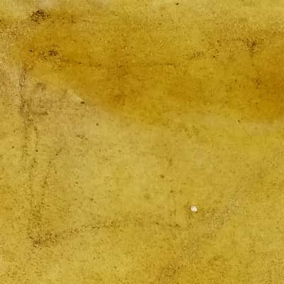 Ludwig Manny's 13" Calf Skin Tom Drum Head Resonant Vintage 30s-40s USA Batter image 4