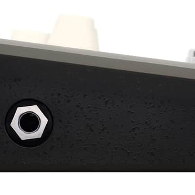 L.R. Baggs Voiceprint DI Acoustic Guitar Impulse Response Effects Pedal image 8