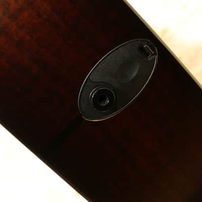 Taylor Builder's Edition 324ce 2020 image 10