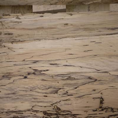Custom Build Telecaster Telecaster 2024 - Natural image 19