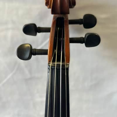 SofiaMari 310E 16 Viola image 8