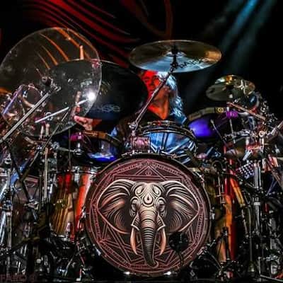 Remo Danny Carey BEAT 22” Bass Drum Head image 6