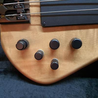 2018 Skjold Slayer 5 Exotic Stage Series 5String Bass Select Premium Myrtle Top image 5