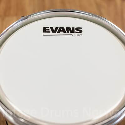 Pearl MLX 8x8 Tom - Ivory White image 6