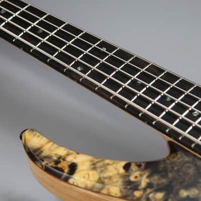 BQW Tavern series 5 string Bass image 2