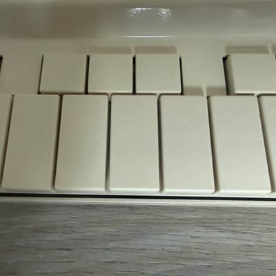 Vongon Replay 28-Key Digital Synthesizer 2024 - Present - Beige image 13