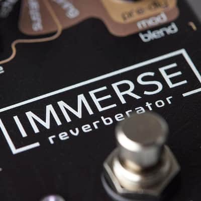Neunaber Immerse Reverberator Mk II *Free Shipping in the USA* image 6