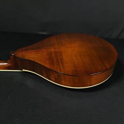 Eastman MD505 Mandolin A Style Classic Finish w/ Case image 15