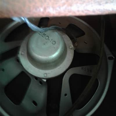 Supro Spectator Amp 1950's image 6