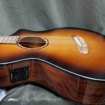 Breedlove Discovery S Concertina CE Edgeburst image 2