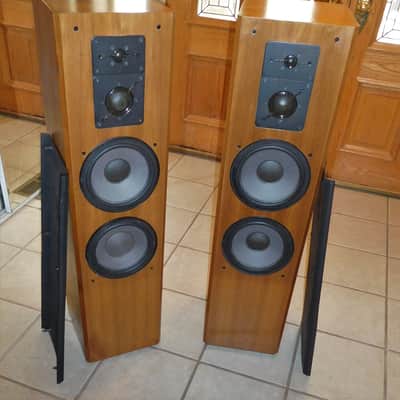 Audacious! ADS L1290/2 Towers in good condition Fully tested and sound amazing! image 1