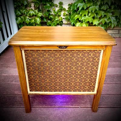 Rotary Connection 1x12 cab. Lights up! 16 ohm speaker. MCM vintage style. 2026 - Wood image 6
