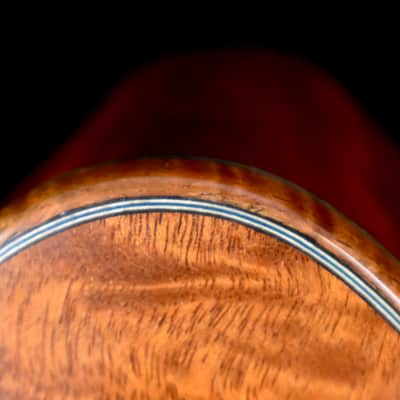 The Tree: The Four Elements - The Element Earth Acoustic Bass image 14