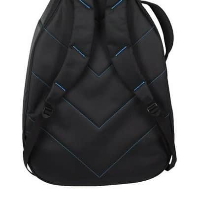Reunion Blues RBX Acoustic / Dreadnought Gig Bag / case \ RBX-A2 image 2