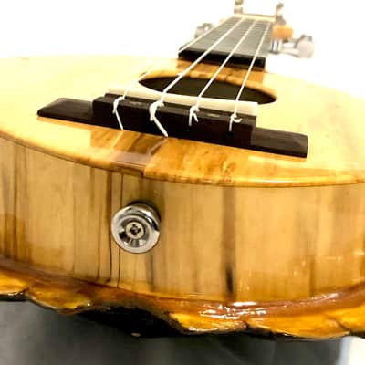 Turtle Shell Soprano Ukulele image 9