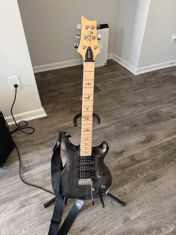 Swamp Ash Special SAVES YOU $17.53