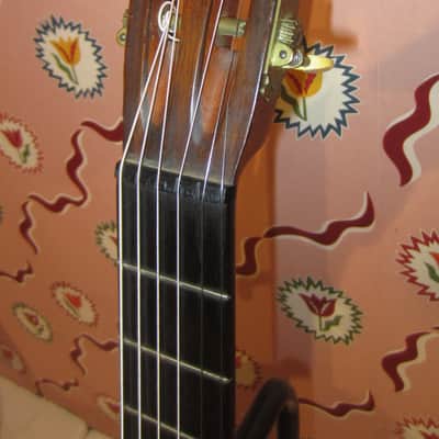 Washburn Model 1897 Parlor Guitar 1900s - Natural image 3