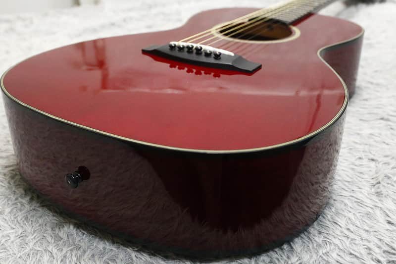 TAKAMINE T Series T-P2 See through Red PARLOR type body 630mm