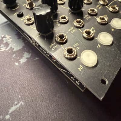 Endorphin.es Blck_Noir Eurorack Synth Module 2018 - Present - Black image 4