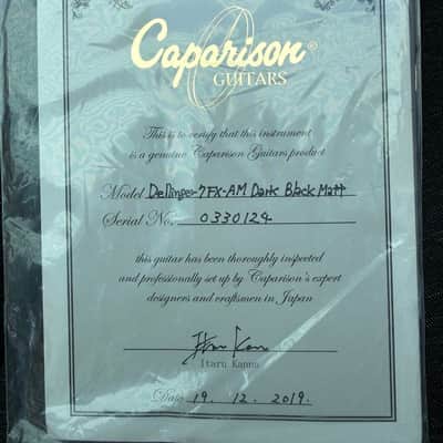 Caparison Dellinger 7 FX-AM 2019 - Dark Matte Black image 2