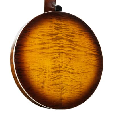Epiphone Earl Scruggs Golden Deluxe Banjo - Banjo image 10