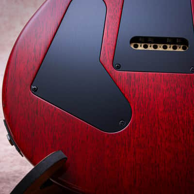 PRS USA Paul Reed Smith Custom 24 Ltd Ed. Mango Top #1 of 200 " Blood Orange" (2026) image 21