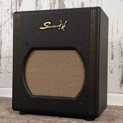 Swart AST Pro 1x12" Combo image 2