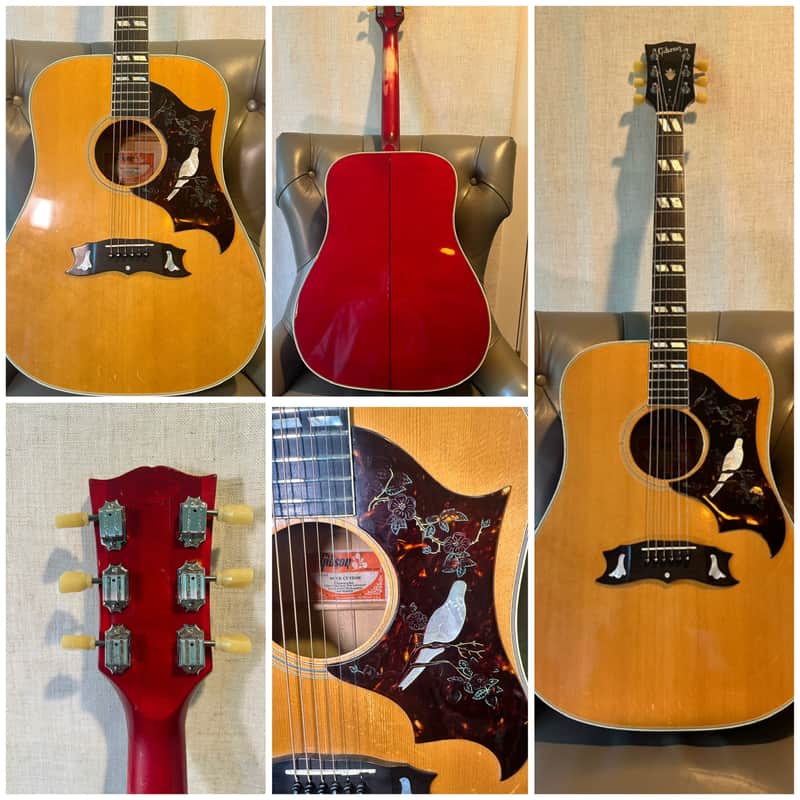 Gibson Dove 1970s image 1