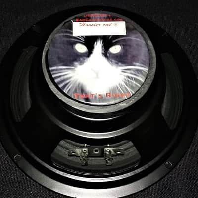 EarCandy Hoosier Cat 8" Guitar speaker 100 watts 8 Ohms Large tone w versatility Hand Made image 2