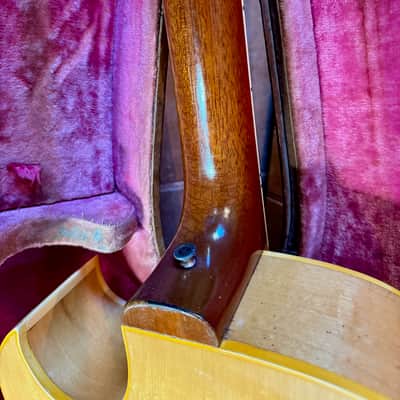 Gibson ES-175 1956 - Natural (Blonde) image 10