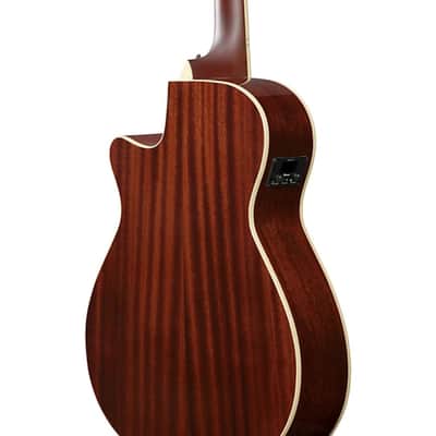 Ibanez AEGA250 USA 250th Anniversary Grand Auditorium Acoustic-Electric Guitar - America 250 image 11