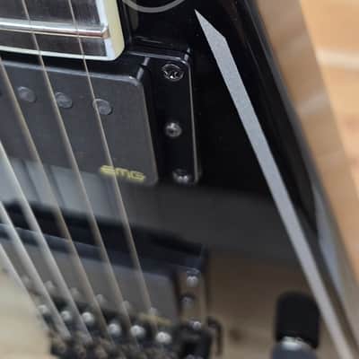 Schecter RavenDark V FR Abbath Signature - Black with Silver Pinstripes image 15