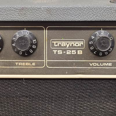 Traynor TS-25B 25-Watt 1X15" Bass Guitar Amplifier Combo image 3