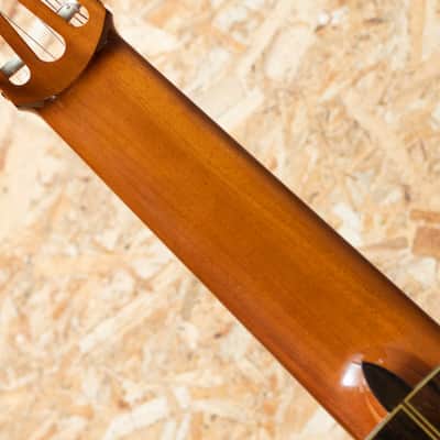 Kohno Masaru Professional 10Strings image 7