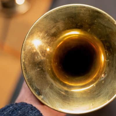 Van Laar OIRAM II 2013 - Raw Brass image 8