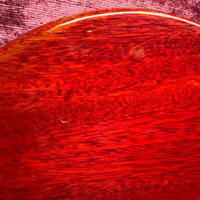 Gibson Les Paul Jr. Double Cut 1959 - Cherry #9 7366 image 22