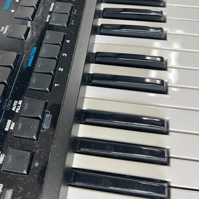 Roland BK-5 61-Key Backing Keyboard 2012 - Present - Black image 4
